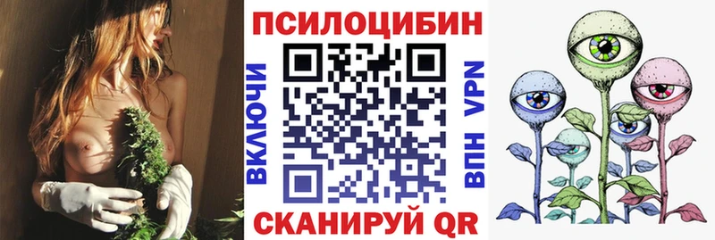Галлюциногенные грибы ЛСД  blacksprut маркетплейс  Новомосковск  магазин   