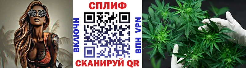 Бошки марихуана ГИДРОПОН Новомосковск