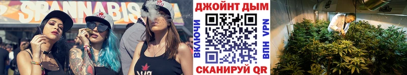 продажа наркотиков  Новомосковск  Канабис план 